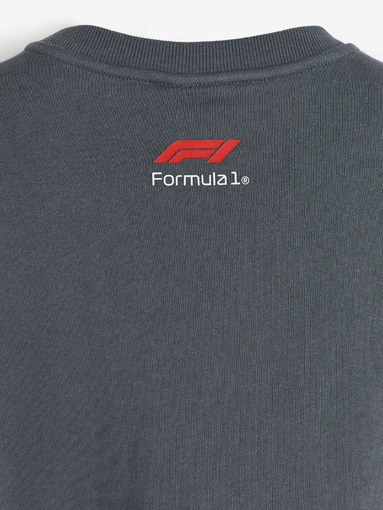 c20e34ed-1d7e-41ad-8045-eeb548e354631712302528306HMOversizedFitPrintedSweatshirt2.webp